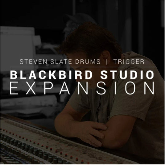 SSD Blackbird expansion - comandodelaudio.com